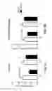 Fig. 08 - Use of semaphorin-4D binding molecules for treating neurodegenerative disorders