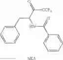 Fig. 40 - Antibody against human HIF hydroxylase