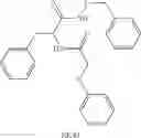 Fig. 44 - Antibody against human HIF hydroxylase