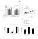 Fig. 02 - Tissue plasminogen activator antibodies and methods of use