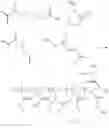 Fig. 02 - Polymers polymerized from at least four monomers, and compositions and uses thereof