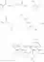 Fig. 19 - Polymers polymerized from at least four monomers, and compositions and uses thereof