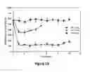 Fig. 15 - Polymeric nanoparticles and a process of preparation thereof