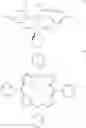 Fig. 13 - High glass transition temperature photoimageable polycarbonate polymers with pendent polycyclic functional groups