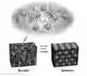 Fig. 01 - Rapid fabrication of hierarchically structured supramolecular nanocomposite thin films in one minute