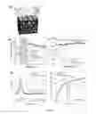 Fig. 10 - Rapid fabrication of hierarchically structured supramolecular nanocomposite thin films in one minute