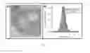 Fig. 11 - Rapid fabrication of hierarchically structured supramolecular nanocomposite thin films in one minute