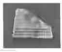 Fig. 01 - Biodegradable Synthetic Polymer Material