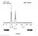 Fig. 09 - Method of forming a hydrolysis resistant aqueous emulsion