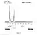 Fig. 12 - Method of forming a hydrolysis resistant aqueous emulsion