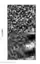 Fig. 08 - Polylactide/silicon-containing block copolymers for nanolithography