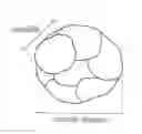Fig. 01 - Core/Shell-Type Inorganic Particles