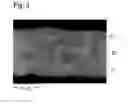 Fig. 03 - Garnet material, method for its manufacturing and radiation-emitting component comprising the garnet material