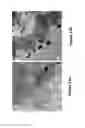 Fig. 15 - Catalysts and methods for converting carbonaceous materials to fuels