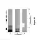 Fig. 33 - Catalysts and methods for converting carbonaceous materials to fuels