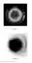 Fig. 03 - Microorganisms for Producing Volatile Organic Compounds