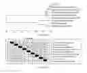 Fig. 14 - Microorganisms for Producing Volatile Organic Compounds