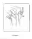 Fig. 18 - Microorganisms for Producing Volatile Organic Compounds