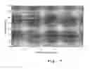 Fig. 08 - CALCIUM REDUCING AGENTS AND METHODS