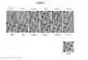 Fig. 06 - METHOD OF SUBCULTURING PLURIPOTENT STEM CELLS