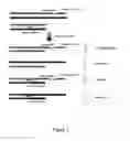 Fig. 02 - METHOD TO COUNTER-SELECT CELLS OR ORGANISMS BY LINKING LOCI TO NUCLEASE COMPONENTS