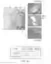 Fig. 07 - Compositions and Methods for Autologous Germline Mitochondrial Energy Transfer