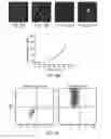 Fig. 10 - Compositions and Methods for Autologous Germline Mitochondrial Energy Transfer