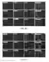 Fig. 12 - Compositions and Methods for Autologous Germline Mitochondrial Energy Transfer