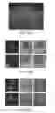 Fig. 18 - Compositions and Methods for Autologous Germline Mitochondrial Energy Transfer