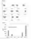 Fig. 05 - Mait-like Cells and Method for Manufacturing Same