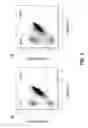 Fig. 02 - Method for differentiation of pluripotent stem cells into cardiomyocytes