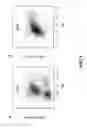 Fig. 04 - Method for differentiation of pluripotent stem cells into cardiomyocytes