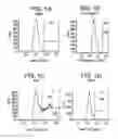 Fig. 02 - Differentiation of human embryonic stem cells into single hormonal insulin positive cells
