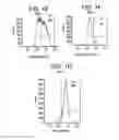 Fig. 03 - Differentiation of human embryonic stem cells into single hormonal insulin positive cells