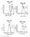 Fig. 07 - Differentiation of human embryonic stem cells into single hormonal insulin positive cells