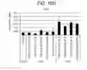 Fig. 35 - Differentiation of human embryonic stem cells into single hormonal insulin positive cells