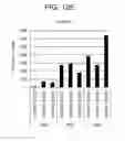 Fig. 43 - Differentiation of human embryonic stem cells into single hormonal insulin positive cells