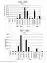 Fig. 46 - Differentiation of human embryonic stem cells into single hormonal insulin positive cells