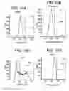 Fig. 49 - Differentiation of human embryonic stem cells into single hormonal insulin positive cells