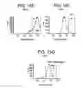 Fig. 52 - Differentiation of human embryonic stem cells into single hormonal insulin positive cells