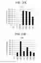 Fig. 55 - Differentiation of human embryonic stem cells into single hormonal insulin positive cells
