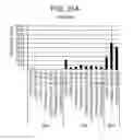 Fig. 69 - Differentiation of human embryonic stem cells into single hormonal insulin positive cells