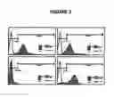 Fig. 03 - METHOD OF GENERATING MULTILINEAGE POTENTIAL CELLS
