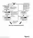 Fig. 03 - Baculoviral DNA elements for the expression of recombinant proteins in a host cell