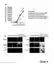 Fig. 05 - Baculoviral DNA elements for the expression of recombinant proteins in a host cell