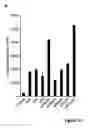 Fig. 11 - Baculoviral DNA elements for the expression of recombinant proteins in a host cell