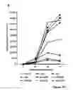 Fig. 12 - Baculoviral DNA elements for the expression of recombinant proteins in a host cell