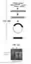Fig. 03 - Influenza virus reassortment
