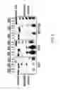 Fig. 04 - ISOLATED POLYPEPTIDES, KITS COMPRISING THE SAME AND USES THEREOF