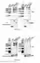 Fig. 08 - ISOLATED POLYPEPTIDES, KITS COMPRISING THE SAME AND USES THEREOF